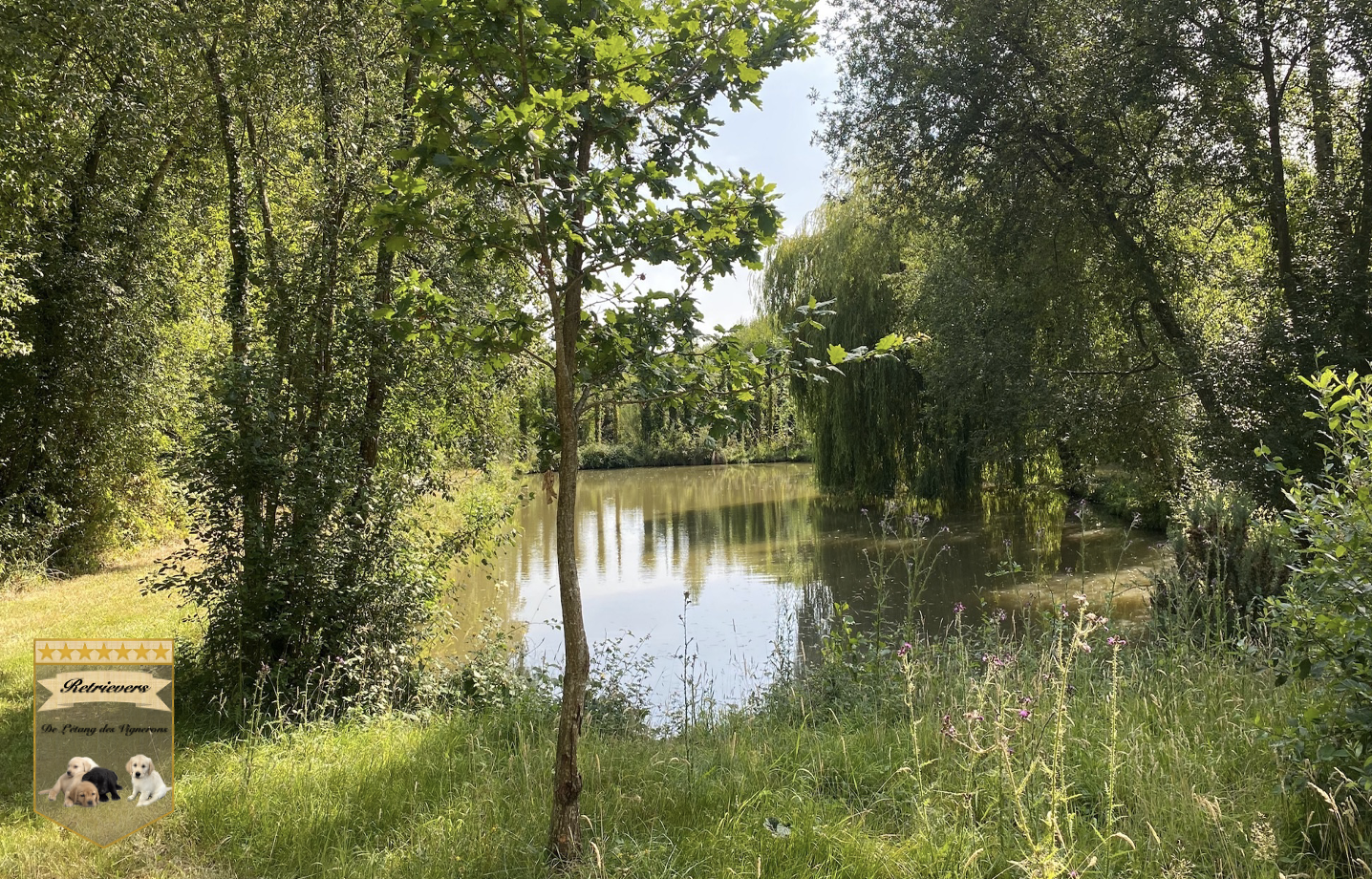 L'ÉTANG DES VIGNERONS