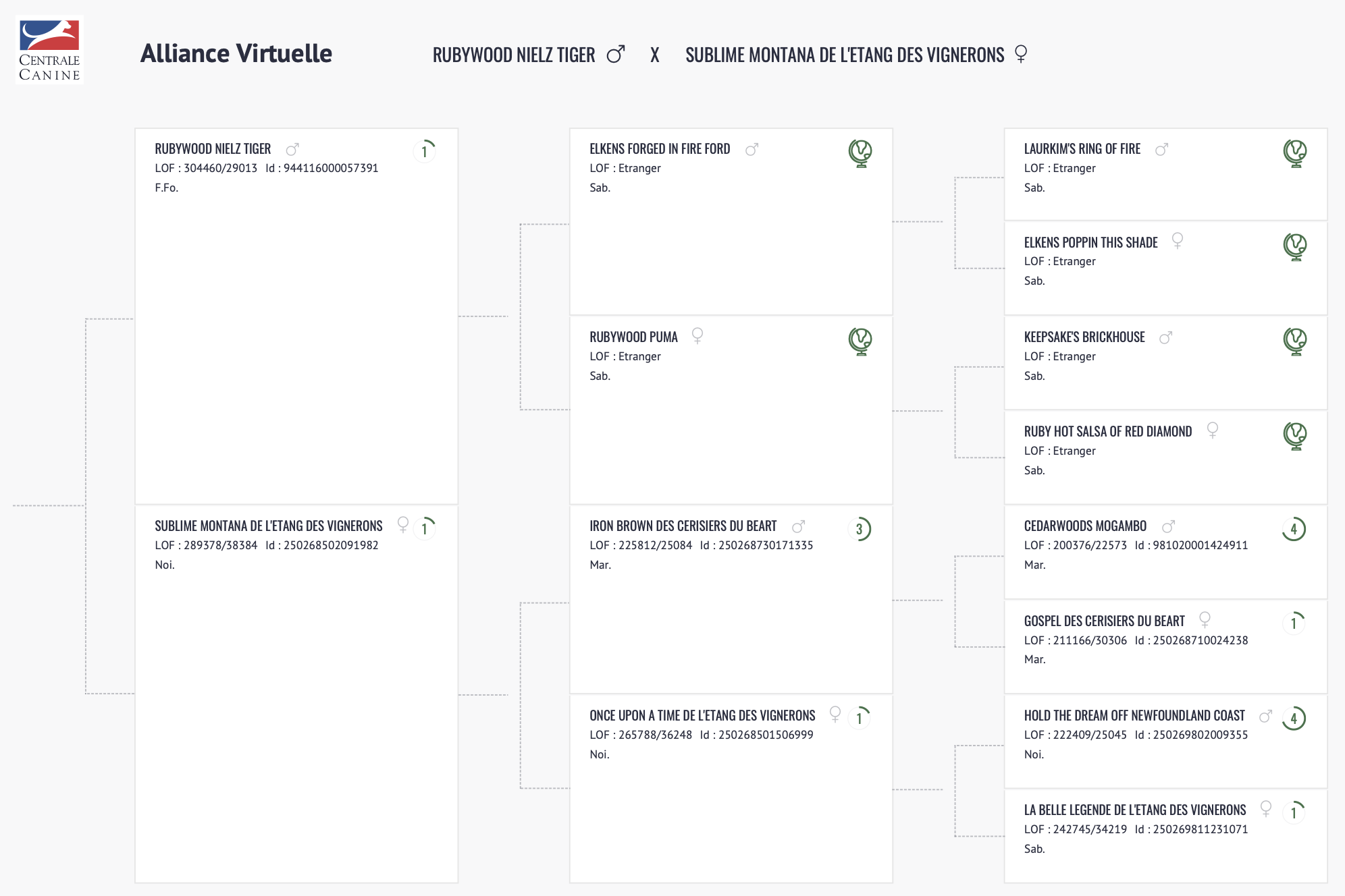 Alliance Montana & Nielz