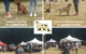 exposition canine Maltot