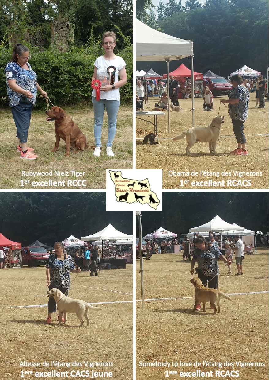 exposition canine Maltot