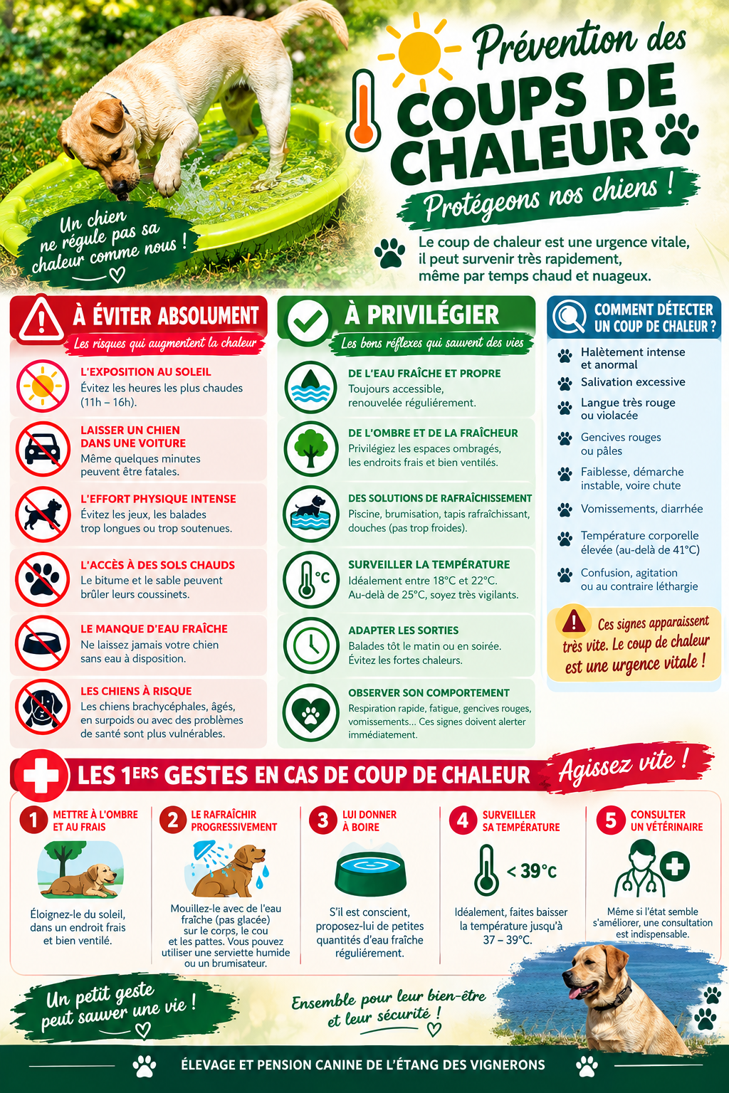 Coups de chaleur
