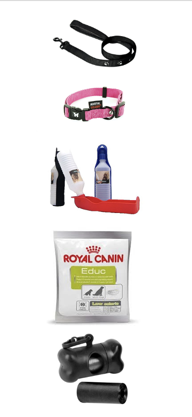 accessoires promenade